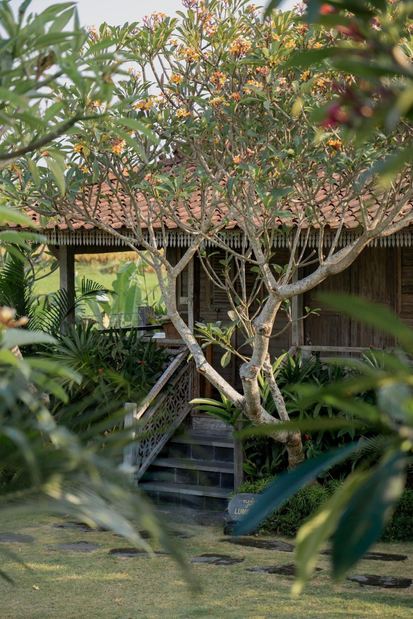 Aswanaya Villas Ubud Exterior foto